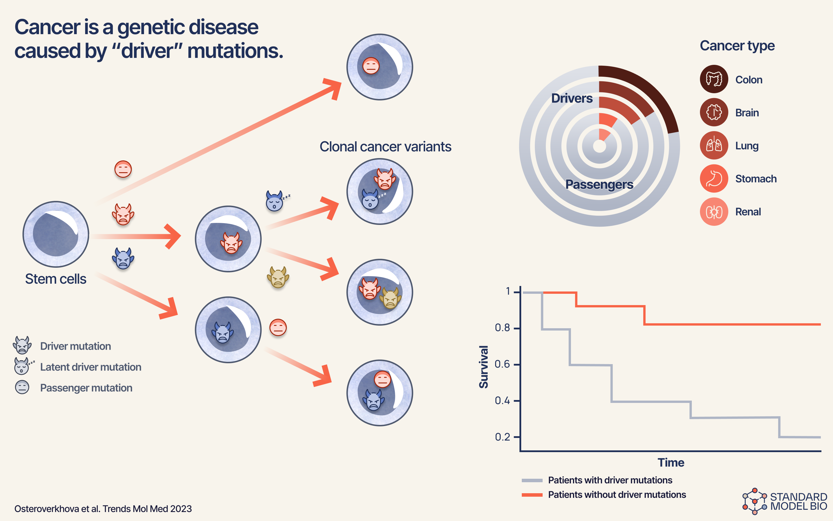 Cancer as a genetic disease driven by mutations — figure