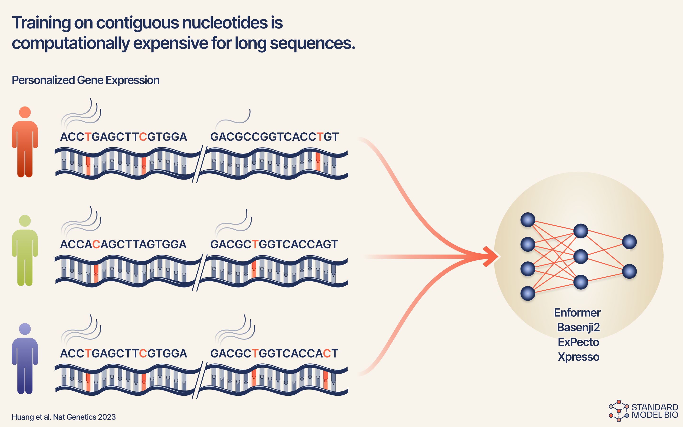 Training on contiguous nucleotides — figure